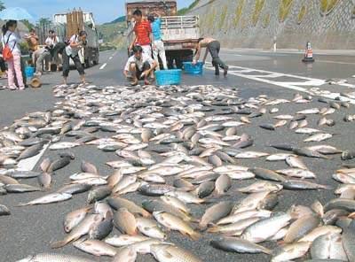 空中降魚(yú)視頻 揭秘罕見(jiàn)空中降魚(yú)現象原理，末日預兆恐怖的空中降魚(yú)實(shí)圖