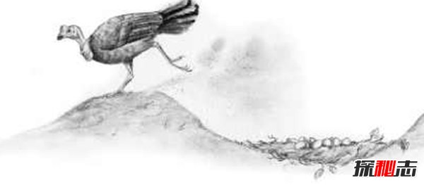 10大最奇特滅絕物種 第九長(cháng)達三米,第一致死高手(附圖)